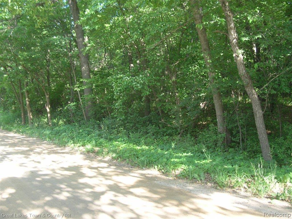 D2 Sutton Road Metamora, MI 48455 - Photo 5 of 6 Sutton Rd