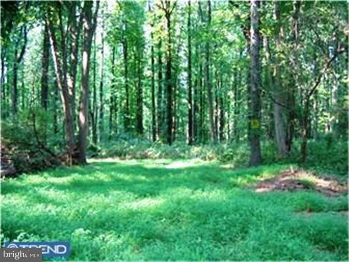 305 Ridgeview Road Princeton, NJ 08540 - Photo 1 of 1 View 1