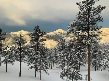 $3,250,000 | 5411 Sunshine Canyon Drive, Boulder, CO 80302