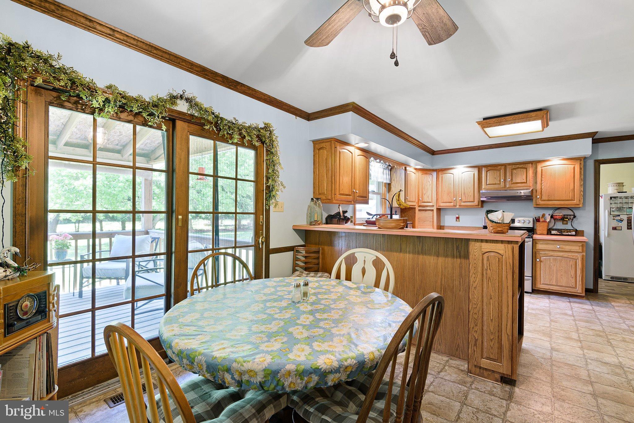 135 Blacksnake Road Elkton, MD 21921 - Photo 19 of 57 Access to covered back deck