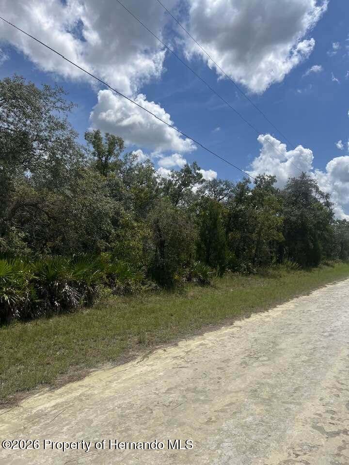 0 Parrot Road North Weeki Wachee, FL 34614 - Photo 12 of 24 Gallery Image 12