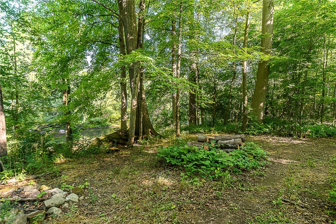 10164 Creek Road Pavilion, NY 14525 - Photo 33 of 34 Clearing by the creek