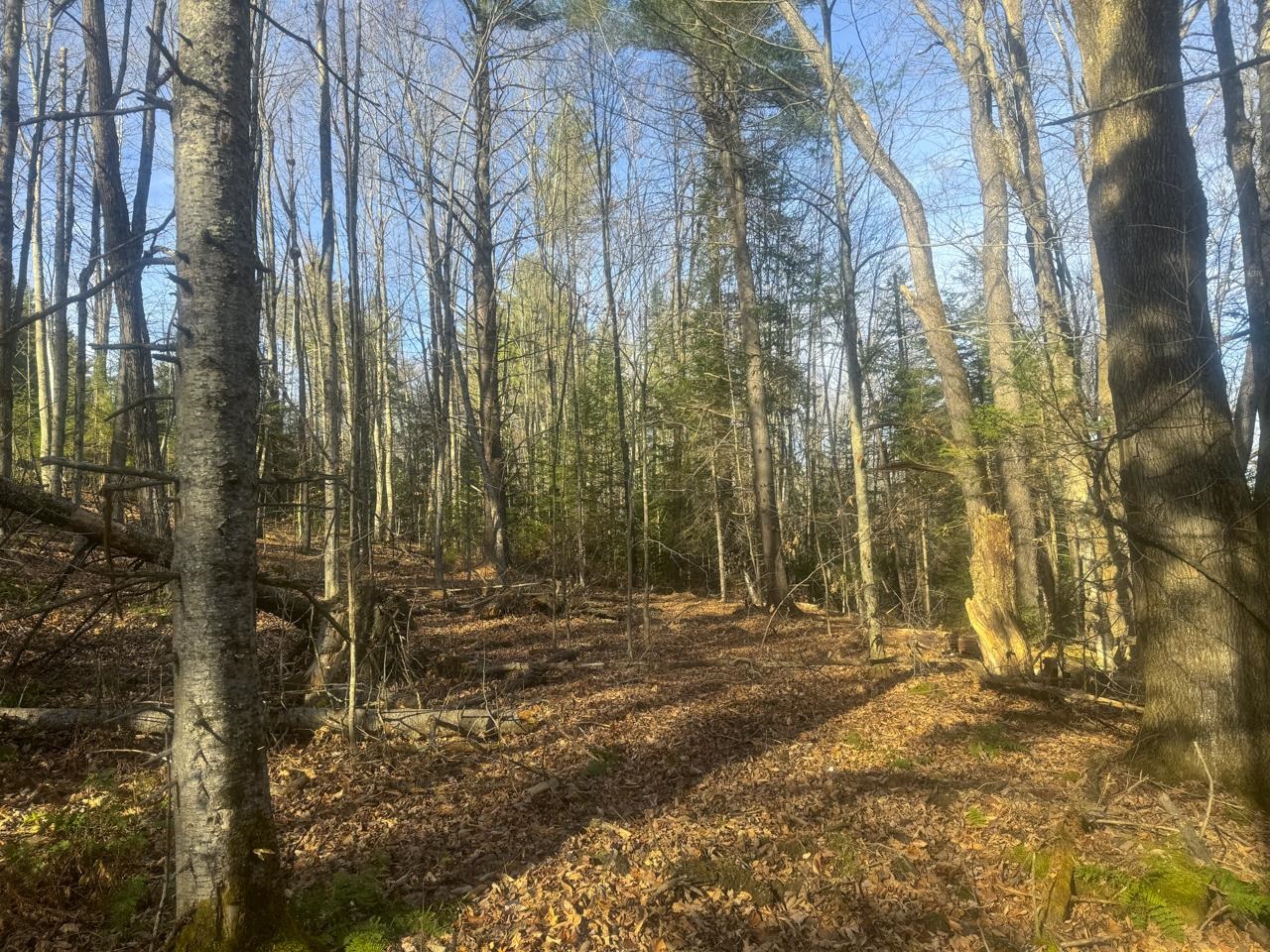 0 Fox Road Warren, VT 05674 - Photo 11 of 41