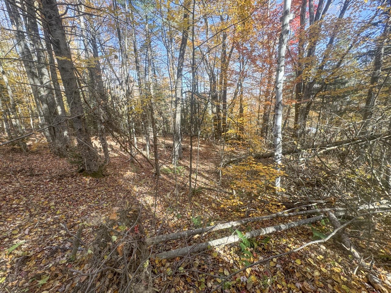 0 Fox Road Warren, VT 05674 - Photo 29 of 41