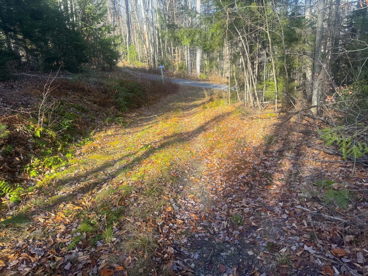 0 Fox Road Warren, VT 05674 - Photo 35 of 41