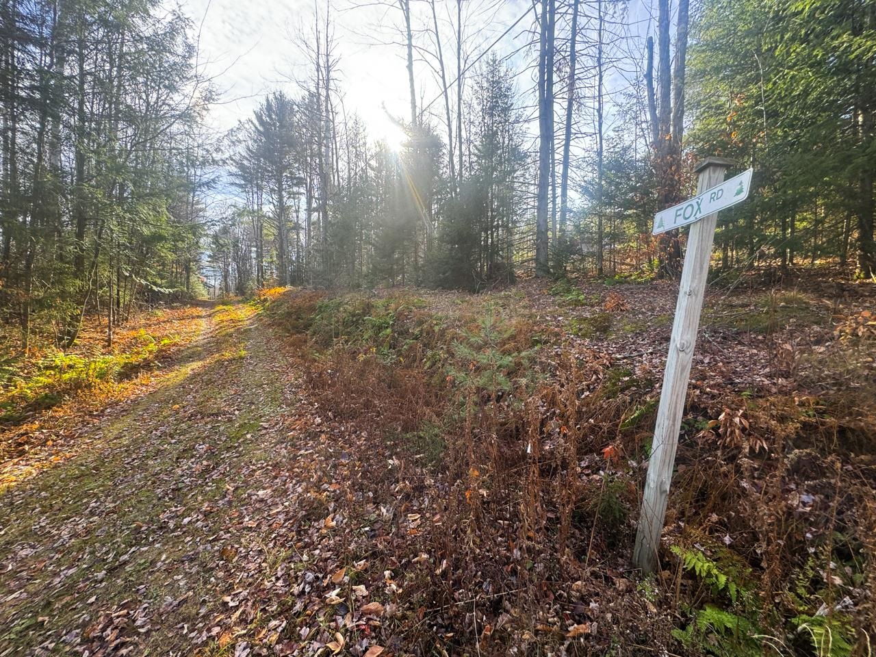 0 Fox Road Warren, VT 05674 - Photo 39 of 41