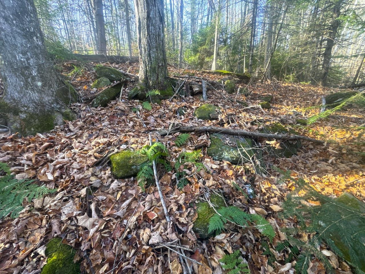 0 Fox Road Warren, VT 05674 - Photo 6 of 41