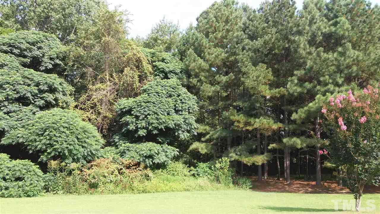 266 T T-Model Jones Road Castalia, NC 27816 - Photo 13 of 14 Gallery Image 13