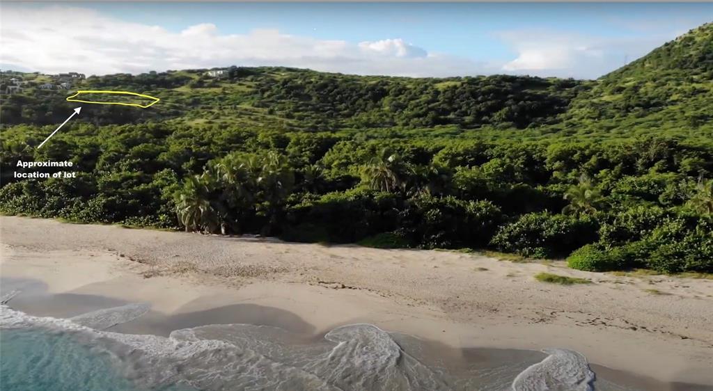 Zoni Beach Estates Calle B Frailes Road, PR 00775 - Photo 11 of 16 a view of a backyard of a house