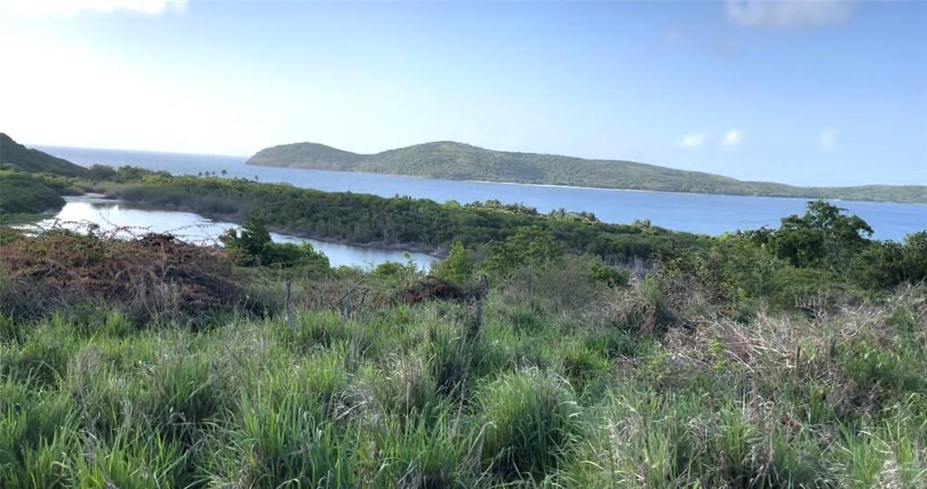Zoni Beach Estates Calle B Frailes Road, PR 00775 - Photo 5 of 16 a view of a lush green hillside and a building