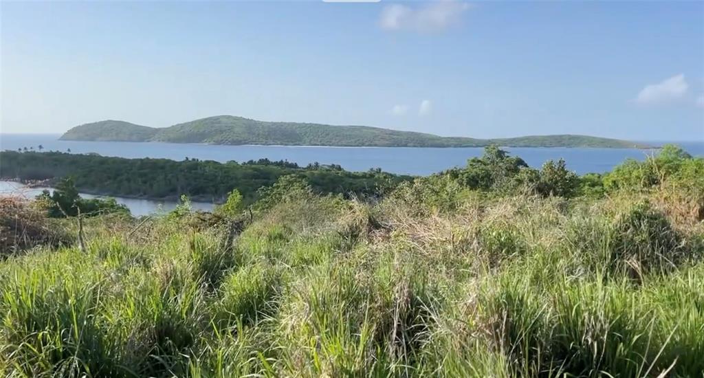 Zoni Beach Estates Calle B Frailes Road, PR 00775 - Photo 7 of 16 a view of mountain with lake view and mountain view