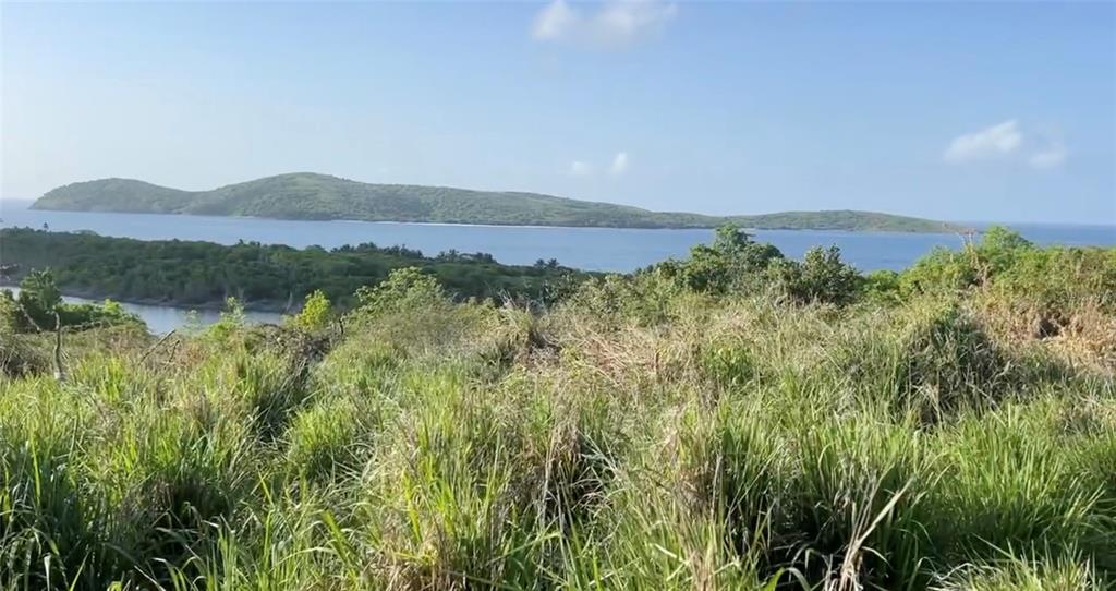Zoni Beach Estates Calle B Frailes Road, PR 00775 - Photo 8 of 16 a view of a lake with a mountain in the background