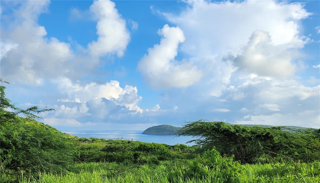 Zoni Beach Estates Calle B Frailes Road, PR 00775 - Photo 10 of 16 a view of a big yard