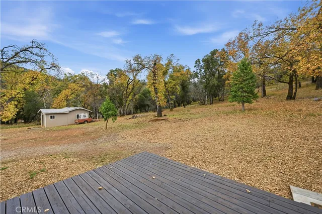 a view of dirt yard with large trees
