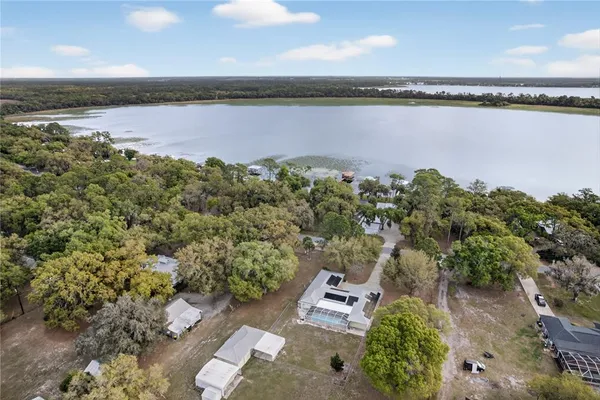 a view of a park with large trees