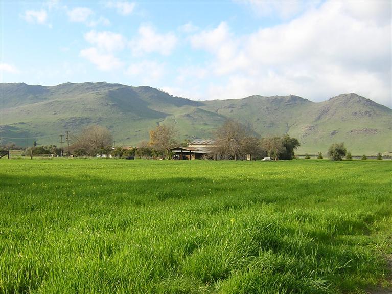 22479 East Kings Canyon Road, Unit A Reedley, CA 93654 - Photo 12 of 16 View of the homesite and surrounding area across the farm field