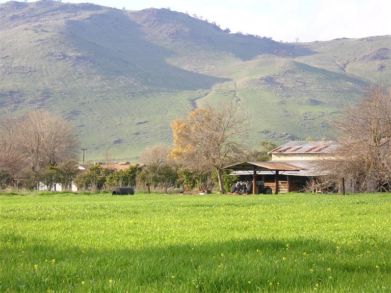 22479 East Kings Canyon Road, Unit A Reedley, CA 93654 - Photo 13 of 16 Homesite & Barn from the south