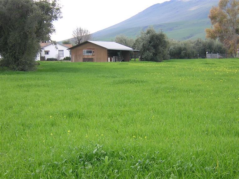 22479 East Kings Canyon Road, Unit A Reedley, CA 93654 - Photo 6 of 16 Homesite & detached garage