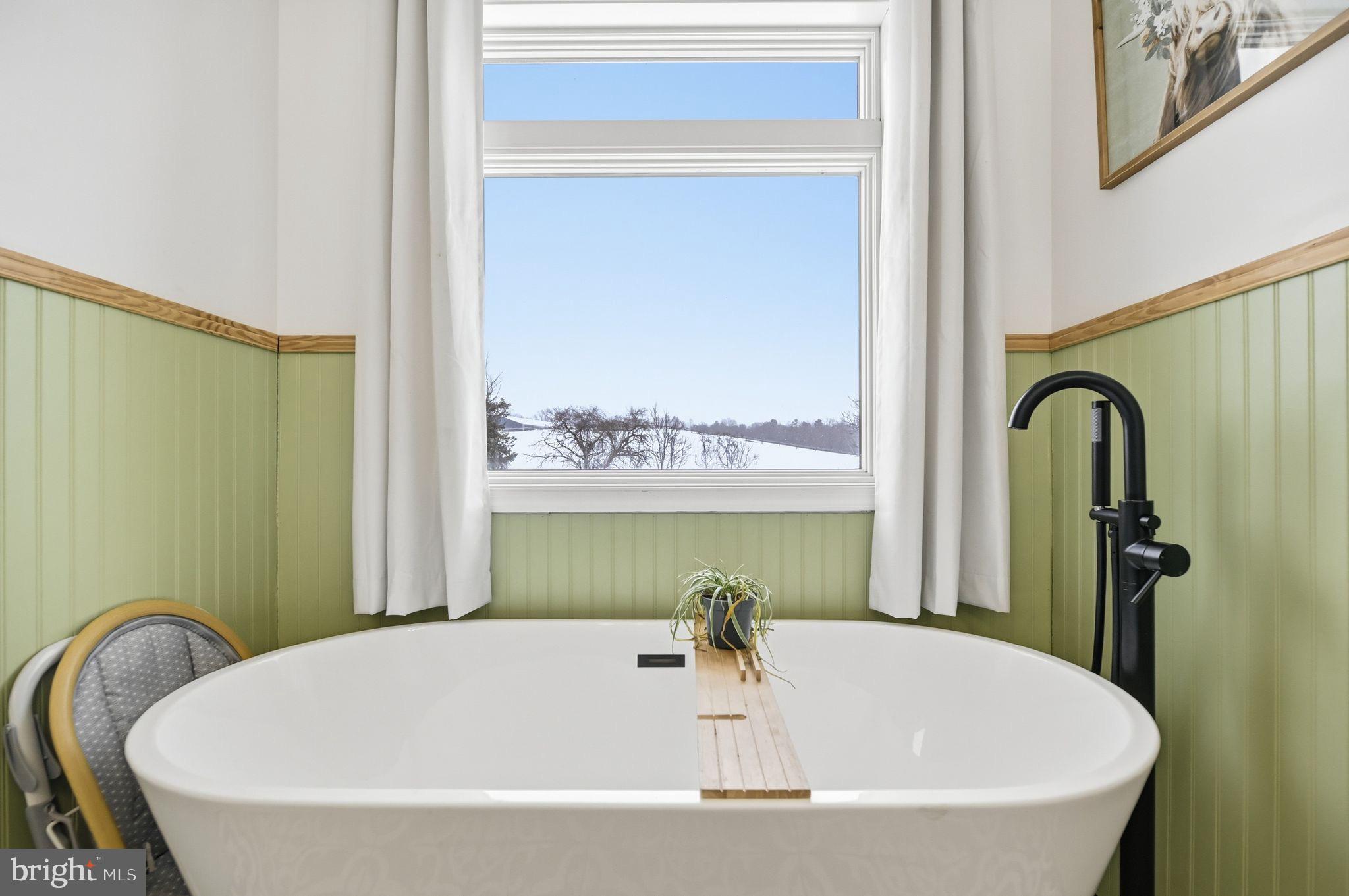7466 Meadow View Lane Rixeyville, VA 22737 - Photo 22 of 41 Serene bathroom with scenic winter view.