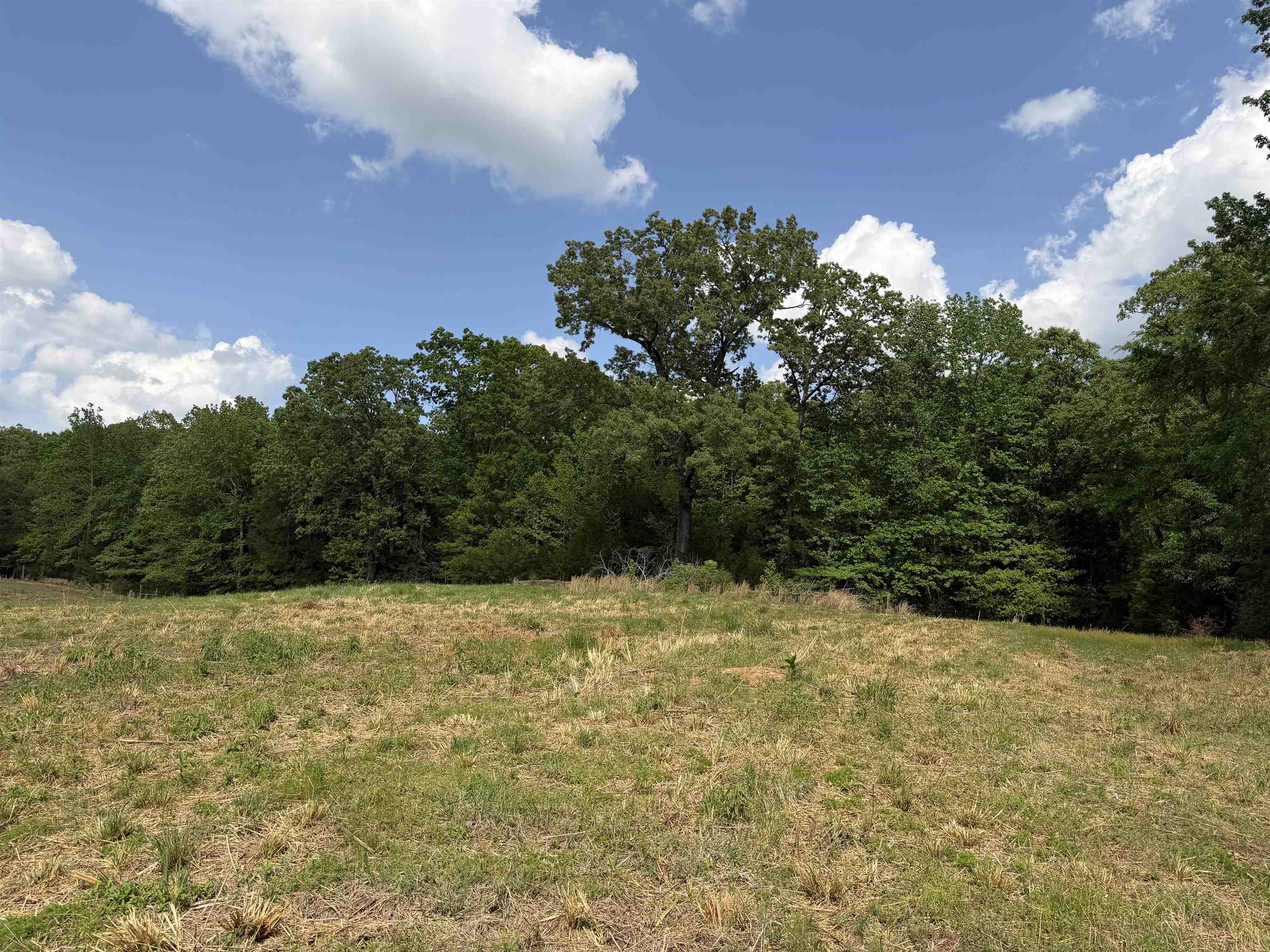 2 Saltillo Road Morris Chapel, TN 38361 - Photo 19 of 40