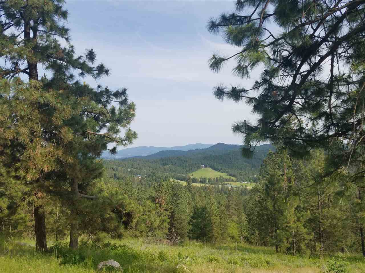 16310 North Scribner Branch Road Spokane, WA 99217 - Photo 1 of 10