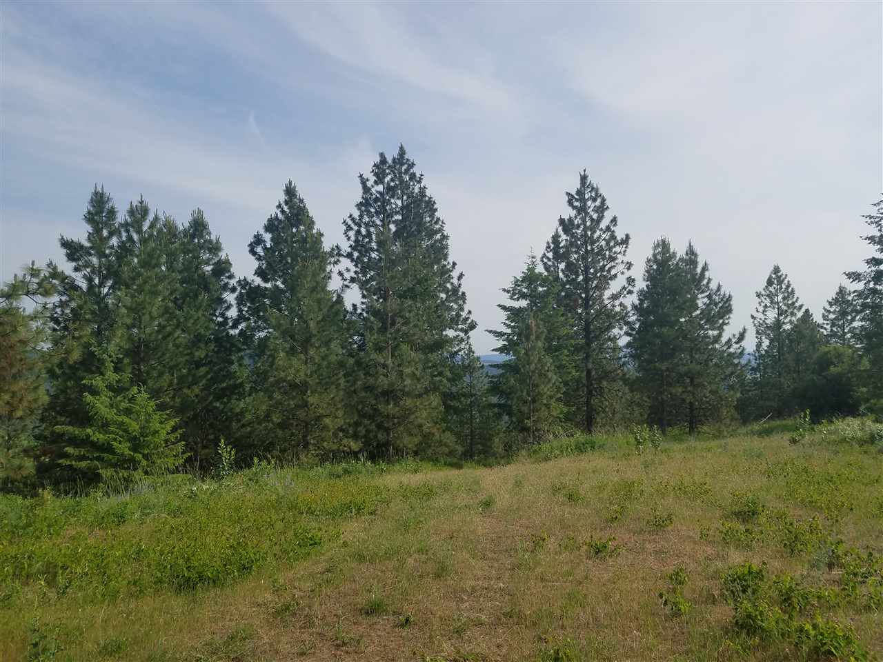 16310 North Scribner Branch Road Spokane, WA 99217 - Photo 2 of 10