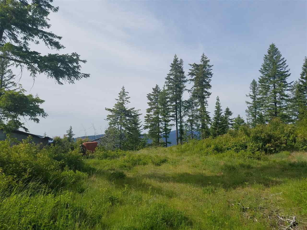 16310 North Scribner Branch Road Spokane, WA 99217 - Photo 3 of 10