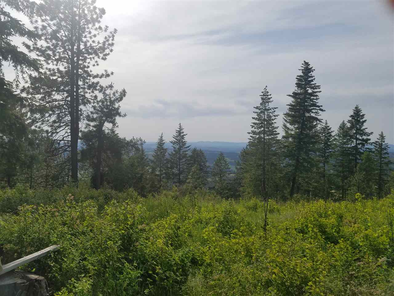 16310 North Scribner Branch Road Spokane, WA 99217 - Photo 6 of 10