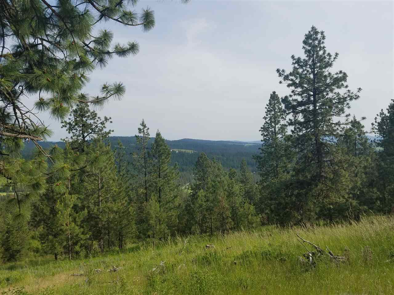 16310 North Scribner Branch Road Spokane, WA 99217 - Photo 7 of 10