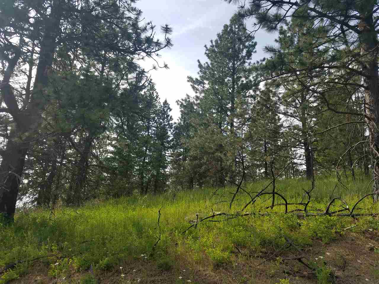 16310 North Scribner Branch Road Spokane, WA 99217 - Photo 8 of 10