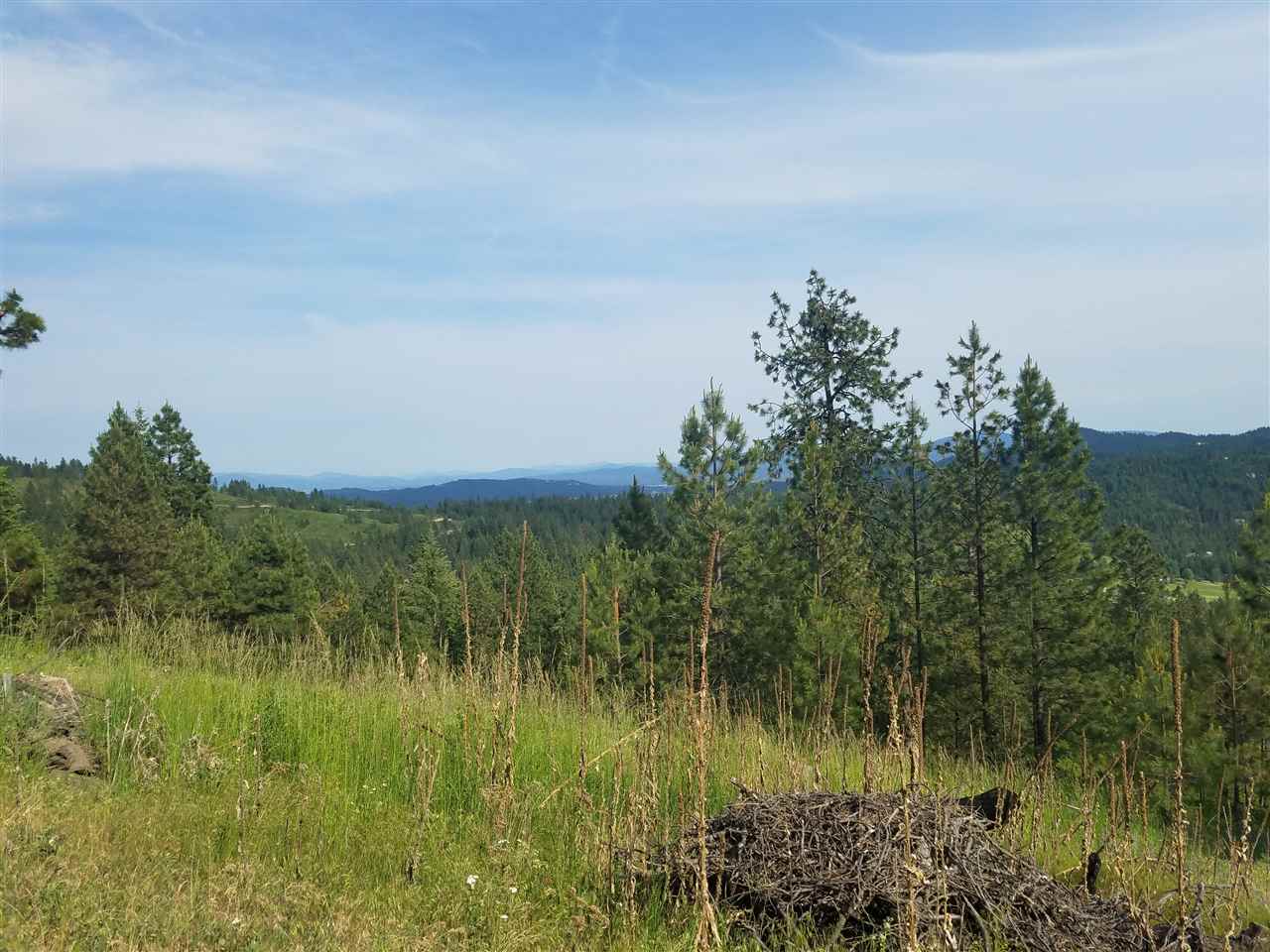 16310 North Scribner Branch Road Spokane, WA 99217 - Photo 9 of 10