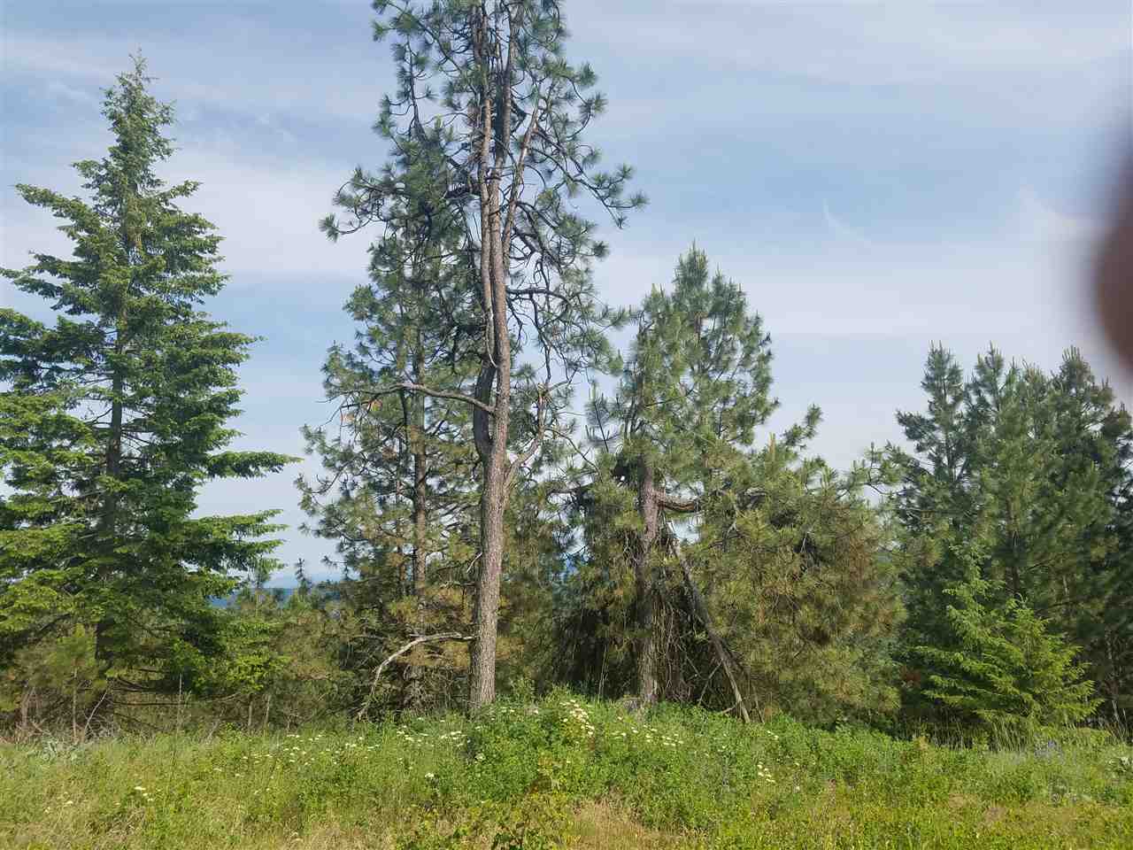 16310 North Scribner Branch Road Spokane, WA 99217 - Photo 10 of 10