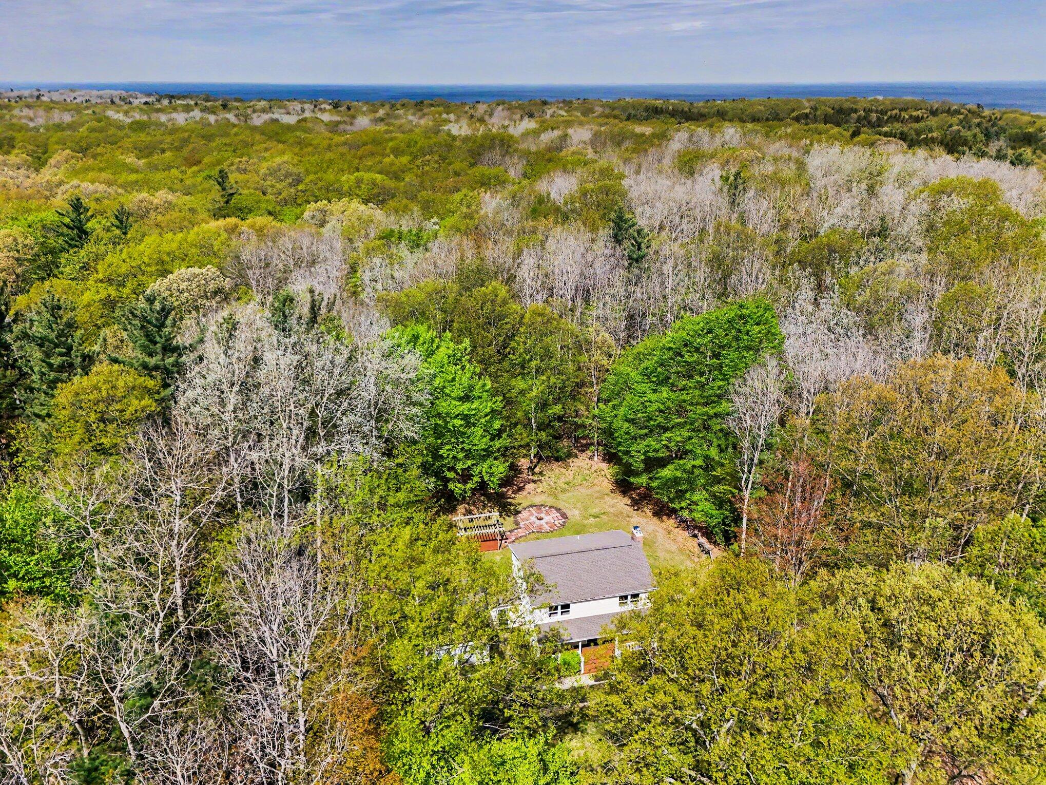 4370 Red Apple Road Manistee, MI 49660 - Photo 43 of 49 043_file_6686