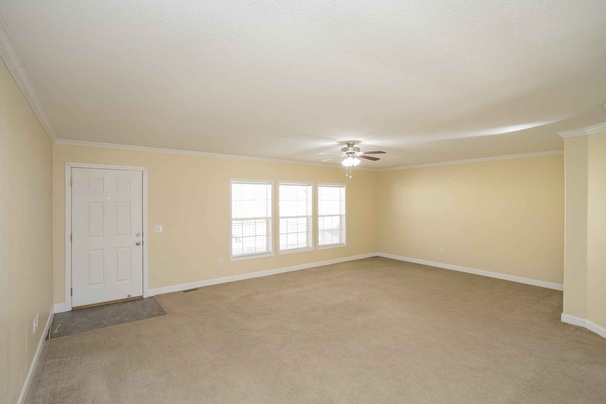 8553 Joy Road Mount Pleasant, TN 38474 - Photo 8 of 55 Gallery Image 8