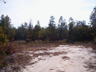 15 Fulmer Rd/shiloh Farms Aiken, SC 29805 - Photo 1 of 1