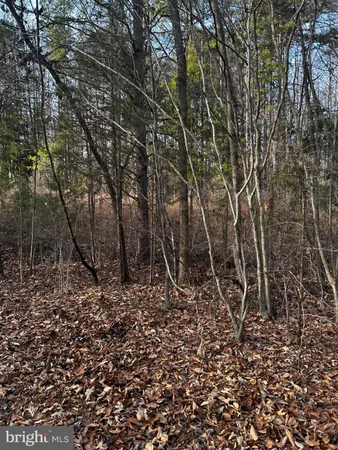 $19,900 | 0 Bagwell Drive, Scottsburg, VA 24589