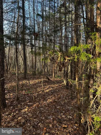 $19,900 | 0 Bagwell Drive, Scottsburg, VA 24589
