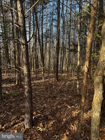 $19,900 | 0 Bagwell Drive, Scottsburg, VA 24589