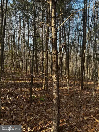 $19,900 | 0 Bagwell Drive, Scottsburg, VA 24589