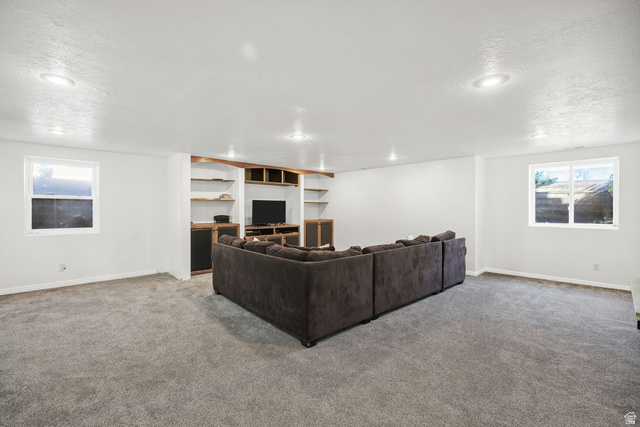892 East 400 South Smithfield, UT 84335 - Photo 29 of 44 Basement Living room with healthy amount of natural light, carpet flooring, and a textured ceiling