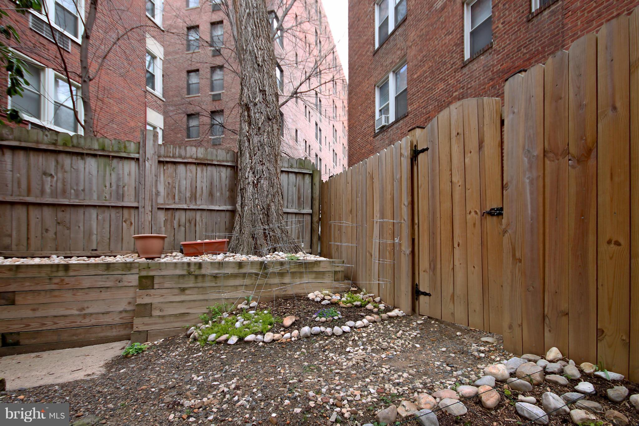 1727 R Street Northwest, Unit 101 Washington, DC 20009 - Photo 17 of 30 a view of a street with a large tree