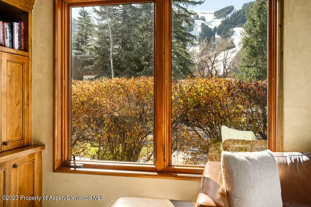 a view of a glass door with a tree
