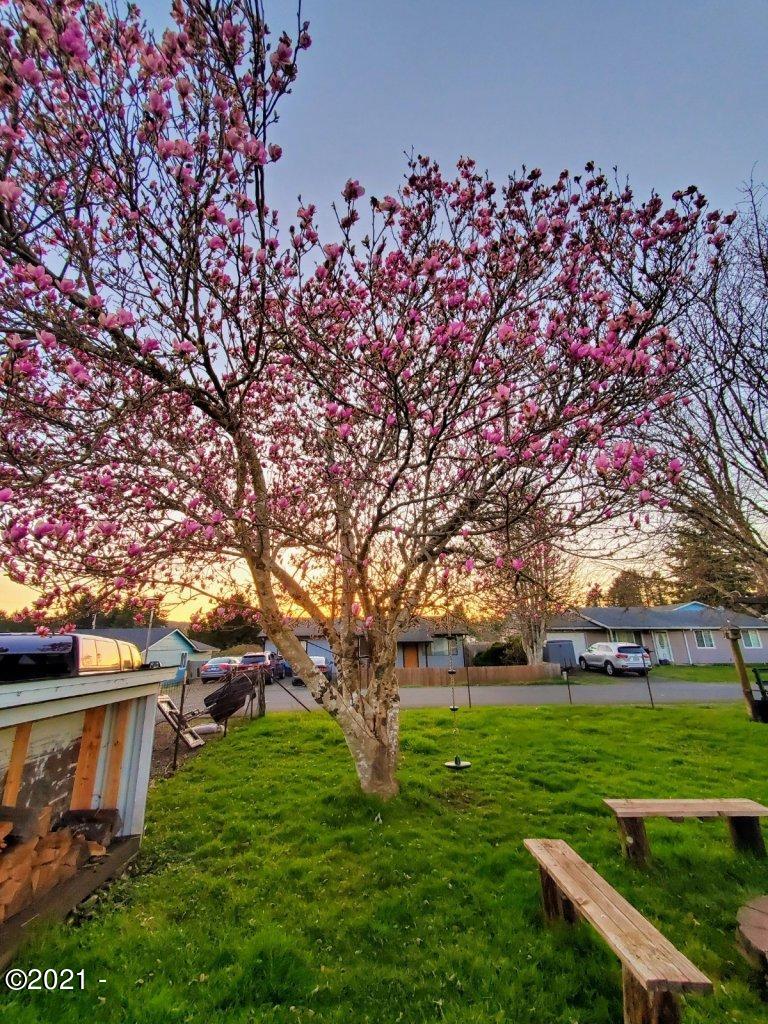 152 Northwest Grinstead Street Siletz, OR 97380 - Photo 21 of 30 Tree in Spring