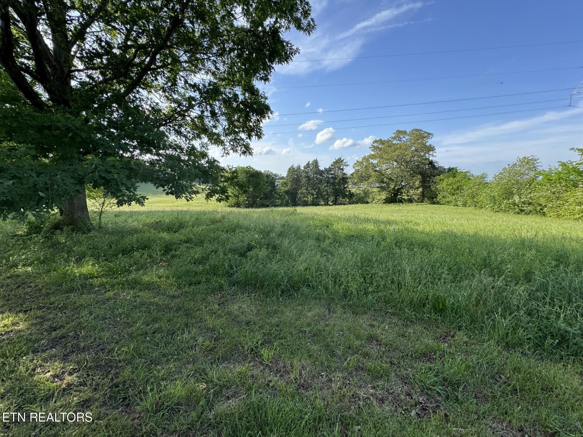 5401 Davis Ferry Road Loudon, TN 37774 - Photo 11 of 15 Field 1