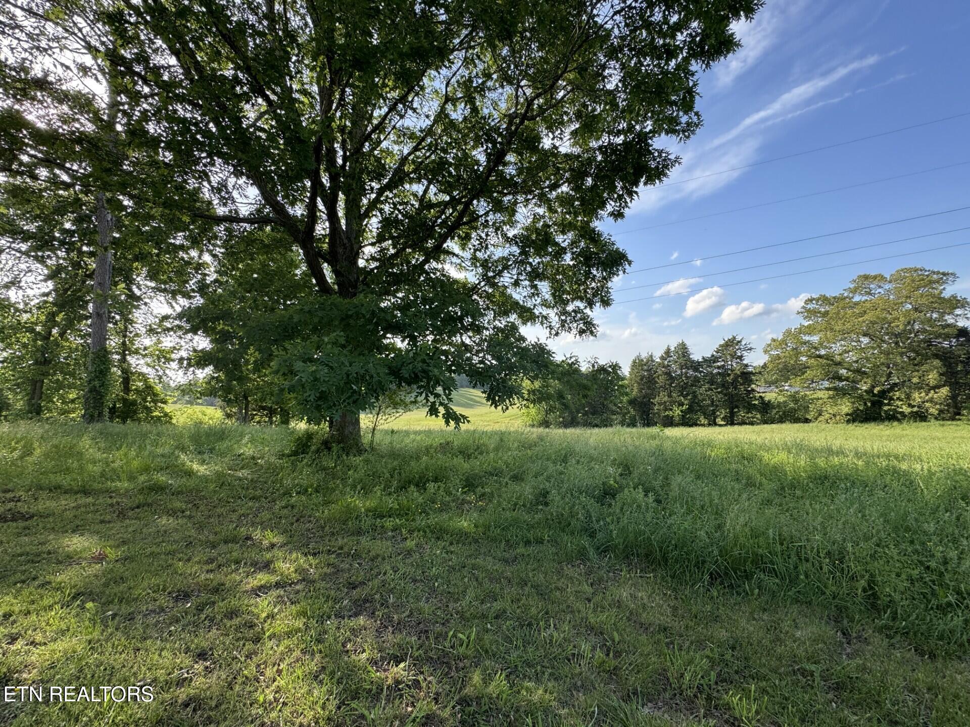 5401 Davis Ferry Road Loudon, TN 37774 - Photo 12 of 15 Field 2