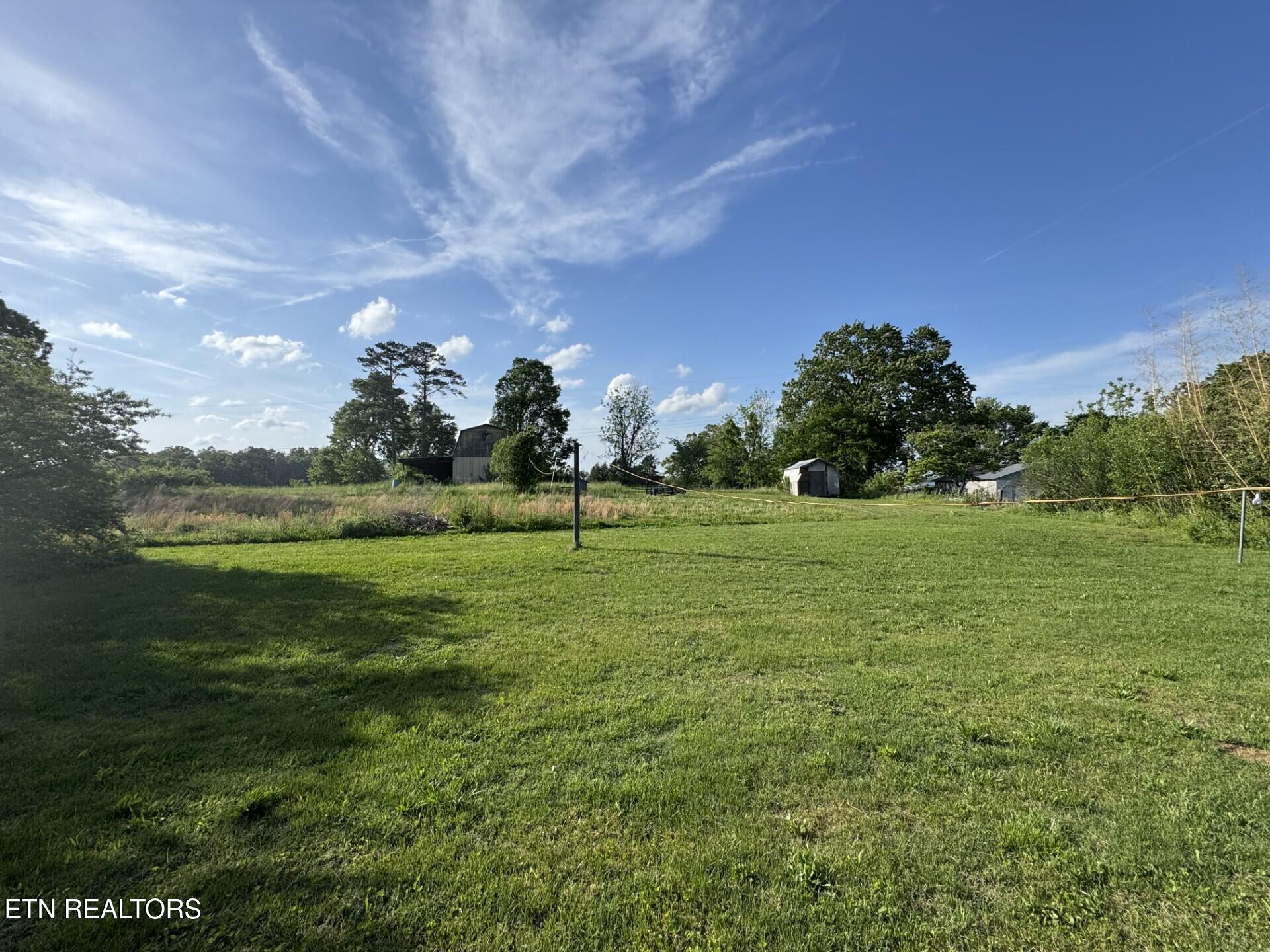 5401 Davis Ferry Road Loudon, TN 37774 - Photo 4 of 15 Back yard
