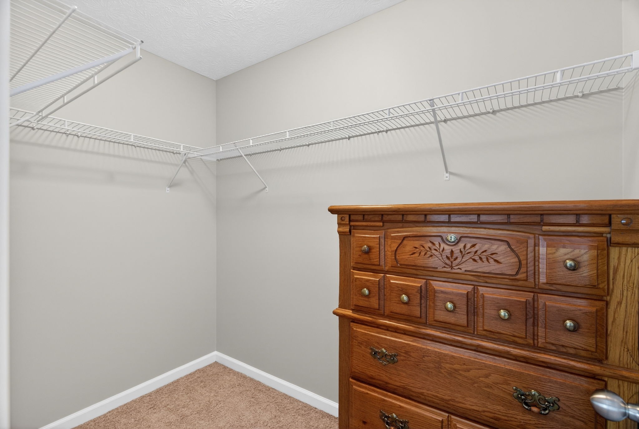 126 Hollands Way Portland, TN 37148 - Photo 34 of 42 a view of a storage and utility room with racks on the wall