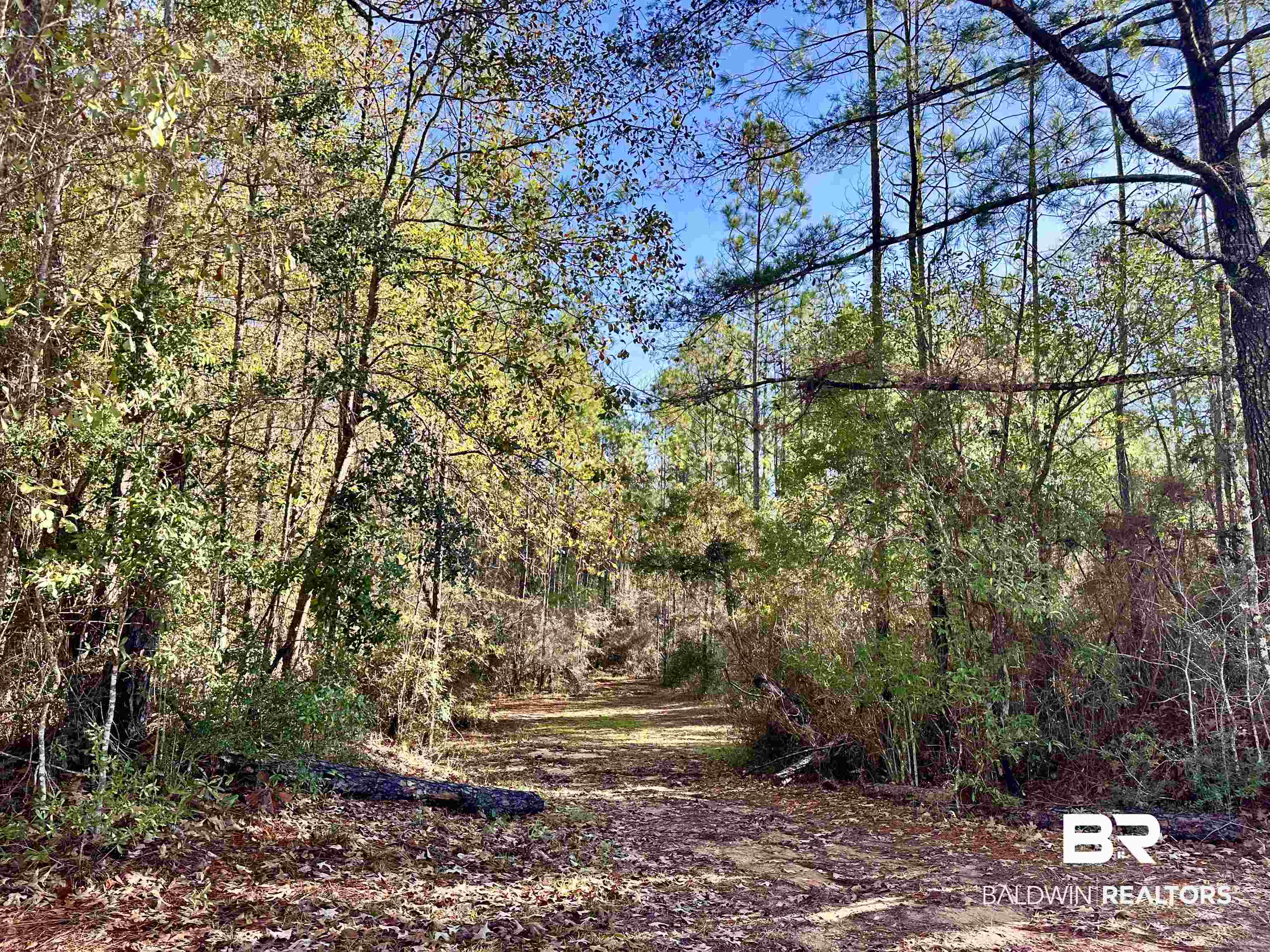 3881 Old Atmore Road Flomaton, AL 36441 - Photo 18 of 22 View of local wilderness