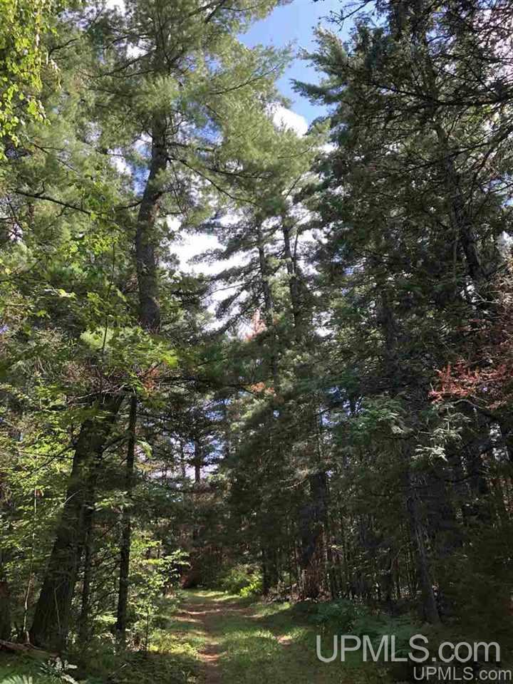 Tbd West Tower Road Ishpeming, MI 49849 - Photo 13 of 44