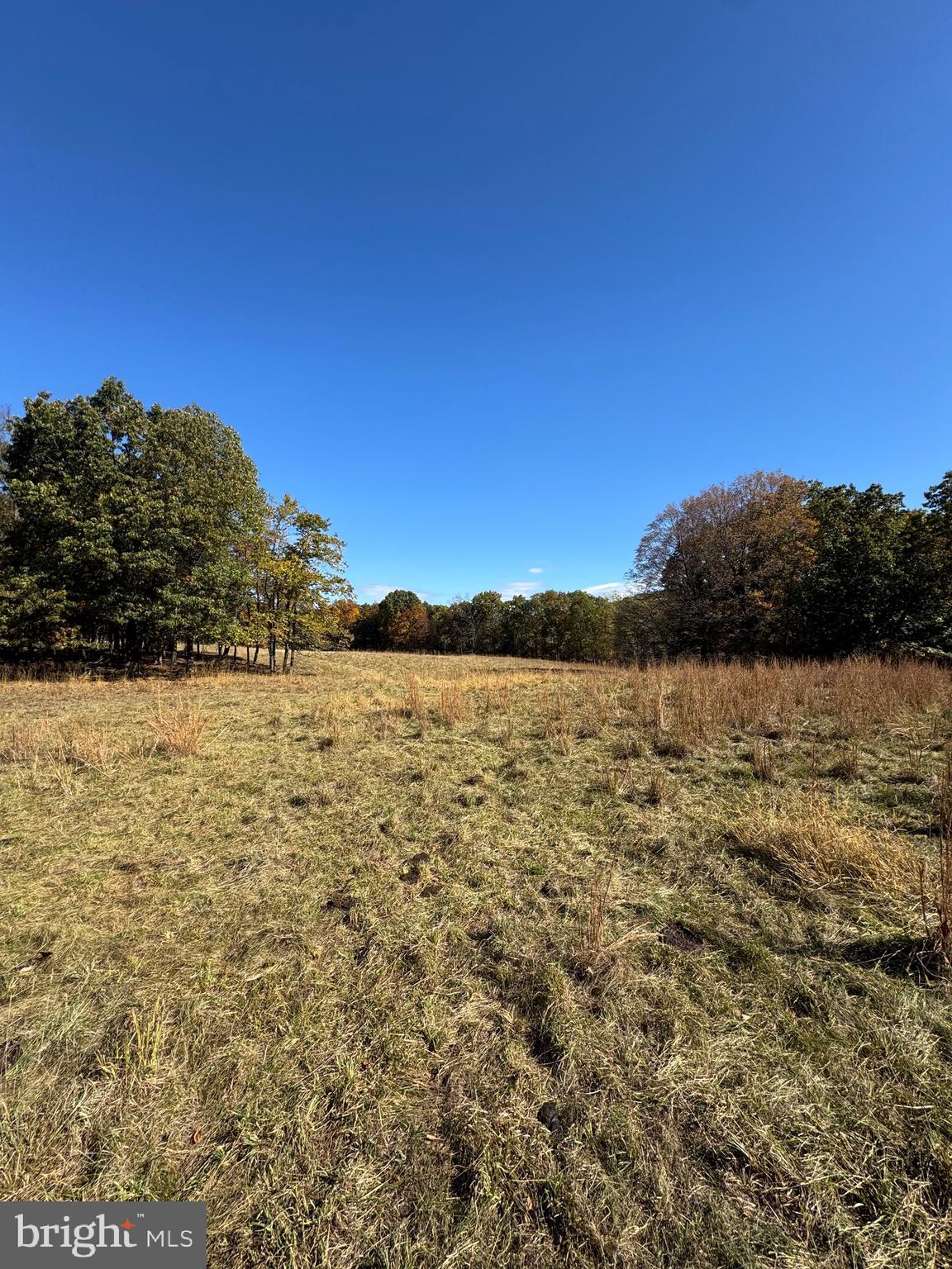781 Dunmore Road Petersburg, WV 26847 - Photo 5 of 35